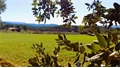 Terrain à bâtir à la vente